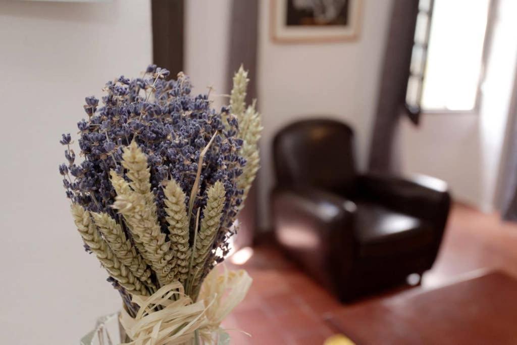 Maison Pittorresque St Paul De Vence Сен Пол дьо Ванс Екстериор снимка
